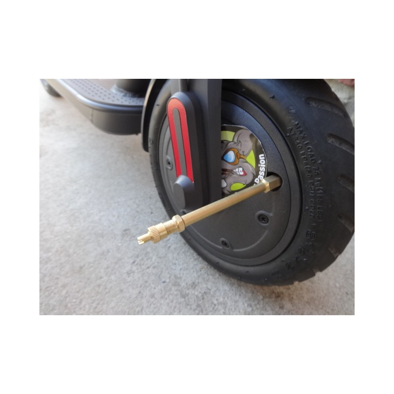 stijf pompslang anti lichtverlies belgie elektrische step te koop nederland