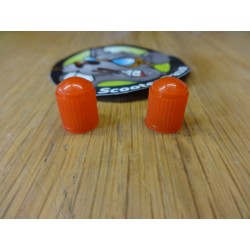 Kit de 2 bouchons de valve...