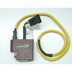 CDI onsteking bobijn PERFOMANCE  zeus te koop belgie