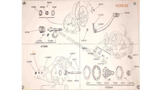 Kick et pignon élastique