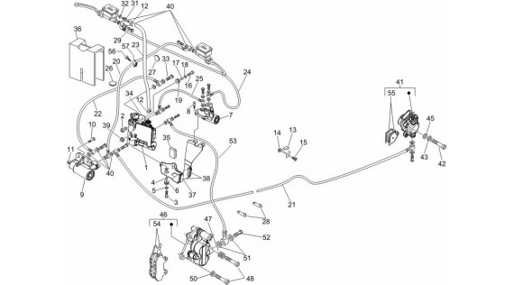 Durites et étriers de frein 