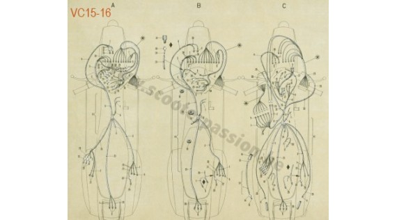 Faisceau électrique