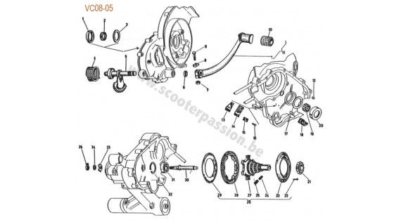 Kick et pignon élastique