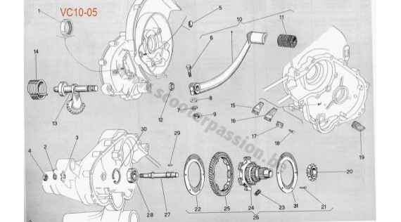 Kick et pignon élastique