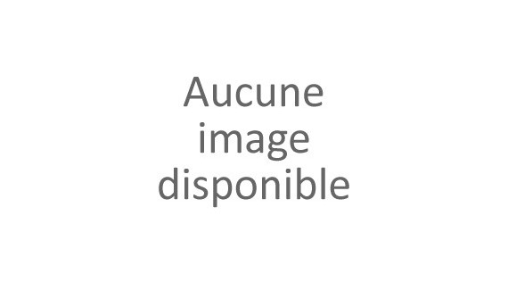Bateaux RC loisir