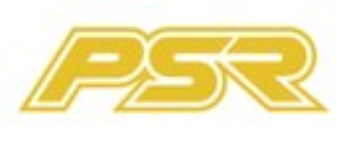 Powerstar Racing Servo - VP PRO